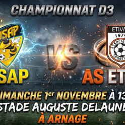 🏠 SENIORS D3 : USAP - LOUPLANDE
